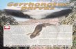 El lagarto aligator pigmeo - Reptiliareptilia.es/wp-content/uploads/2018/02/052.pdf · En el cañón cercano a San Isidro el lagarto aligator pigmeo comparte hábitat con el lagarto