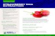 STRAWBERRY DNA EXTRACTION - Noble Research …A outr ogr TEACHER GUIDE Noble Research Institute, LLC 210 Sam Noble Parkway Ardmore, OK 3401 80-223-810 STRAWBERRY DNA EXTRACTION DNA