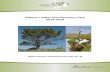 Alberta Limber Pine Recovery Plan 2014-2019...Alberta Limber Pine Recovery Plan 2014–2019 Prepared by: The Alberta Whitebark and Limber Pine Recovery Team Brad Jones, Alberta Environment