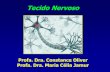 Tecido Nervoso - USP · 2017-06-05 · FUNÇÃO DO SISTEMA NERVOSO O Sistema Nervoso tem a capacidade de receber, transmitir, elaborar e armazenar informações. • Os neurônios