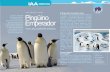 Autor: Marcela M. Libertelli Pingüino Emperador · 2019-06-12 · IAA Historia de un descubrimiento Los pingüinos emperadores son los menos numerosos comparados con otras especies