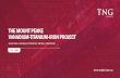 THE MOUNT PEAKE VANADIUM-TITANIUM-IRON …...Vanadium-Titanium-Iron Project in the Northern Territory, Australia. 11 TNG Limited Growing list of Strategic Shareholders VIMSON Group: