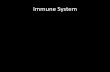 Immune System Immune System revSP16.pdf · Cell-mediated immunity . Activation of effector and memory T-cell clones: ... response) Cytotoxic T cells (kill infected cells) (limit response)