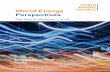 World Energy Perspectives - Marsh & McLennan Companies · World Energy Perspectives The road to resilience | 2016 MANAGING CYBER RISKS ... 5 4. TECHNOLOGY VENDORS CAN PLAY A CRITICAL