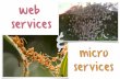 7 - Web Services & Microservices...they rely on the simple object access protocol (soap), an xml ... four http verbs as crud operations HTTP CRUD POST CREATE GET READ PUT UPDATE ...
