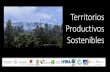 Territorios Productivos Sostenibles...Unidad económica campesina (parcelas) Recursos uso colectivo Tierra Trabajo Capital Tecnología Bosque Biodiversidad Agua Servicios ecosistémicos