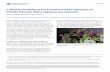 Cultural Guidelines for Commercial Production of Purple ... · ENH1079 Cultural Guidelines for Commercial Production of Purple Passion Plant (Gynura aurantiaca)1Jianjun Chen and Richard
