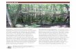 Vernal Pool Vernal Pool, Page 1 - Michigan State University · 2019-06-25 · Vernal Pool Vernal Pool, Page 1 Michael A. Kost Overview: Vernal pools are small, isolated wetlands that