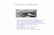 Collision Liability · Web viewI. Short history of the development of the international system of collision liability II. Concept and delimitations III. Basic principles of collision