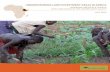UNDERSTANDING LAND INVESTMENT DEALS IN AFRICA · development plans. Forced evictions, denial of access to subsistence land, beatings, killings, rapes, imprisonment, intimidation,
