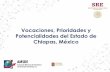 Vocaciones, Prioridades y Potencialidades del Estado de ...Camex.org.gt/wp-content/uploads/2019/05/SEDECO-Chiapas-Guatemala.pdfFuentes: INEGI, Servicio de Información Agropecuaria