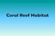 Coral Reef Habitat - NOAA Office for Coastal Management...FINGER CORAL . Finger coral is the most common Hawaiian coral found in wave protected reef environments. \⠀氀椀欀攀