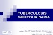 TUBERCULOSIS GENITOURINARIA · 2008-04-16 · Tuberculosis urinaria: los aspectos urográficos son bien conocidos con las amputaciones de los territorios caliciales (A y B), las retracciones