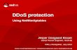 DDoS protection - Using Netfilter/iptables · 2014-07-09 · 1/36 DDoS protection using Netfilter/iptables Jesper Dangaard Brouer Senior Kernel Engineer, Red Hat RMLL Montpellier,