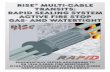 RISE MULTI-CABLE TRANSITS: RAPID SEALING SYSTEM active … · 2018-04-11 · RISE® MULTI-CABLE TRANSITS: THE RAPID® SEALING SYSTEM 2 RISE® multi-cable penetrations are an alternative