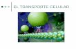 EL TRANSPORTE CELULAR...El transporte celular Es el movimiento constante de sustancias a través de la membrana celular. El transporte celular puede ser activo o pasivo. El transporte