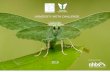 UNIVERSITY MOTH CHALLENGE - Butterfly Conservation...University Moth Challenge is a joint initiative by the UK’s youth nature network A Focus on Nature (AFoN) and Butterfly Conservation