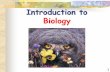 Introduction to Biology - Mr. Rafferty Springfield Central ... · Introduction to Biology . 2 Biology – The Study of Life Life arose more than 3.5 billion years ago First organisms