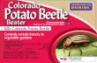 Colorado Potato Beetle · black berry, black raspberry, loganberry, red raspberry, and cultivars and/or hybrids of these citrus trees including grapefruit, lemons, limes, oranges,