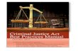 Criminal Justice Act Best Practices Manual Best Practices... · Criminal Justice Act Best Practices Manual ... express our appreciation to Gary Hollinger, Tammy Taylor, Joanne Matty,