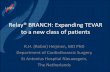 Relay® BRANCH: Expanding TEVAR to a new class of patients€¦ · Relay® BRANCH: Expanding TEVAR to a new class of patients R.H. (Robin) Heijmen, MD PhD Department of Cardiothoracic