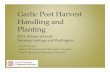 Garlic Post Harvest Handling and Planting€¦ · Garlic Post Harvest Handling and Planting 2015 Allium Schools Saratoga Springs and Burlington Crystal Stewart Eastern NY Commercial