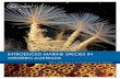 INTRODUCED MARINE SPECIES IN WESTERN AUSTRALIA€¦ · This book brings together our present knowledge of introduced marine species in Western Australia, including pest species, to