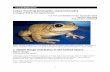 Cuban Treefrog (Osteopilus septentrionalis) ERSS€¦ · 1 Cuban Treefrog (Osteopilus septentrionalis) Ecological Risk Screening Summary U.S. Fish and Wildlife Service, September