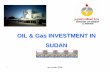 OIL & Gas INVESTMENT IN SUDAN - European Coalition · ٢١ spc sudan 2006 Trunkline & Flowline @ receiver area Overview of Train 1 (1st Stage Separators, 2nd Stage Separators and