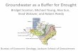Groundwater as a Buffer for Drought - Jackson School of ... · Groundwater as a Buffer for Drought Bridget Scanlon, Michael Young, Alex Sun, Brad Wolaver, and Robert Reedy Bureau