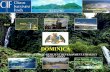DOMINICA’s LOW-CARBON CLIMATE-RESILIENT DEVELOPMENT … · Programme on Climate Resilience (SPCR) in pursuit its Low-Carbon Climate-Resilient Development Strategy, we anticipate