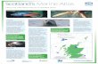 Scotland’s Marine Atlas€¦ · such as razorfish, scallops and cockles and crustaceans, such as the lobster (Nephrops), velvet and edible crabs. The fish in Scotland’s seas fall