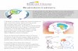 Brainstem Calmer Activities - Beacon House · states, to their calmer ‘thinking brain’, is patterned, repetitive rhythmic activity Creating a therapeutic web of relationships