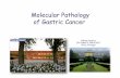 Molecular Pathology of Gastric Canceracmcb.es/files/425-1495-DOCUMENT/Carneiro-3-17Feb11.pdf · Molecular Pathology of Gastric Cancer Fátima Carneiro IPATIMUP & FMUP/HSJ Porto, Portugal.