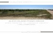ALICO ISLAND POND GROVE - files.landsalelistings.comfiles.landsalelistings.com/property/2018/05/46223/374031.pdf · Alico Island Pond Grove is a healthy and productive citrus grove.