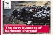 Market analysis, barbecue charcoal 2018 The dirty business ...€¦ · classified charcoal production in Nigeria as being illegal. And b) in 2017, the president of Paraguay issued