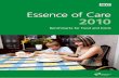 Essence of Care 2010 - gov.uk · Essence of Care 2010 includes all the benchmarks developed since it was first launched in 2001, including the latest on the Prevention and Management