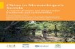 China in Mozambique’s forestsChina in Mozambique’s forests A review of issues and progress for livelihoods and sustainability Duncan Macqueen (editor) Contributing authors: Narciso