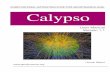Calypso · 2014-07-07 · Calypso User Manual Version 1.1 Hiroaki Matsui . Preface Calypso is a program package of magnetohydrodynamics (MHD) simulations in a rotating spherical shell