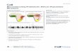 Reconstructing Prehistoric African Population Structure...Reconstructing Prehistoric African Population Structure Graphical Abstract Highlights d Genome-wideanalysis of16 African individualswholived