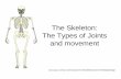The Skeleton: The Types of Joints and movement...Types of Joints • Immovable or fixed joints (Fibrous) •These joints are held together by tough tissue which develops during childhood.