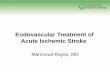 Endovascular Treatment of Acute Ischemic Strokehsc.ghs.org/.../2015/09/Rayes-Endovascular-treatment-of-stroke-MR.… · Radiology assistant.nl ... •The time to endovascular treatment