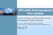 SECARB Anthropogenic Test Update€¦ · • Analog Geophones 2017 • 10 level array • 50ft spacing (staggered 500ft to achieve 2000ft aperture) • 64000lbs Vibroseis source •