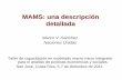 MAMS: una descripción detallada - United Nations · 2012-02-03 · MAMS: una descripción detallada Marco V. Sánchez Naciones Unidas Taller de capacitación en modelado macro-micro