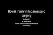 Bowel injury in laparoscopic surgery - pcosindia.org · Bowel injury in laparoscopic surgery Dr Govind P Dr Nilesh Doctor Director, Dept of Surgical Gastroenterology Jaslok Hospital.