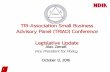 TRI-Association Small Business Advisory Panel (TRIAD ...€¦ · TRI-Association Small Business Advisory Panel (TRIAD) Conference Legislative Update Alex Zemek Vice President for