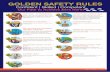 GOLDEN SAFETY RULES - Capital Drilling · GOLDEN SAFETY RULES. Confident | Skilled | Competent. Our Path to Achieve Zero Harm. . SAFETY FIRST – CD FUNDAMENTALS . DELINEATED AND