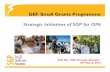 GEF Small Grants Programme Strategic Initiatives of SGP ...€¦ · GEF Small Grants Programme Strategic Initiatives of SGP for OP6 SGP FIJI ... SGP’s Relevance and Value Global