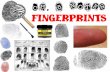 The study of fingerprints is known as - Magoffin …...time and clarity of fingerprints. Fingerprints can now be scanned at the rate of 500 to 1,000 dots per inch. This provides an