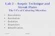 Lab 2 Aseptic Technique and Streak Plates...–Aseptic technique prevents contamination of sterile substances or objects –Two common isolation techniques •Streak plates •Pour